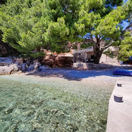 Robinson Borik Bogomolje