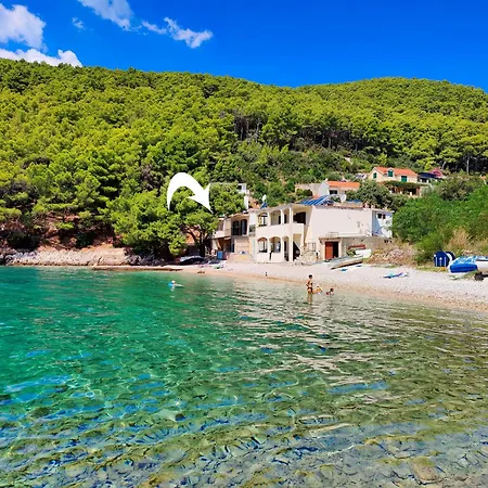 Robinson Borik * Bogomolje