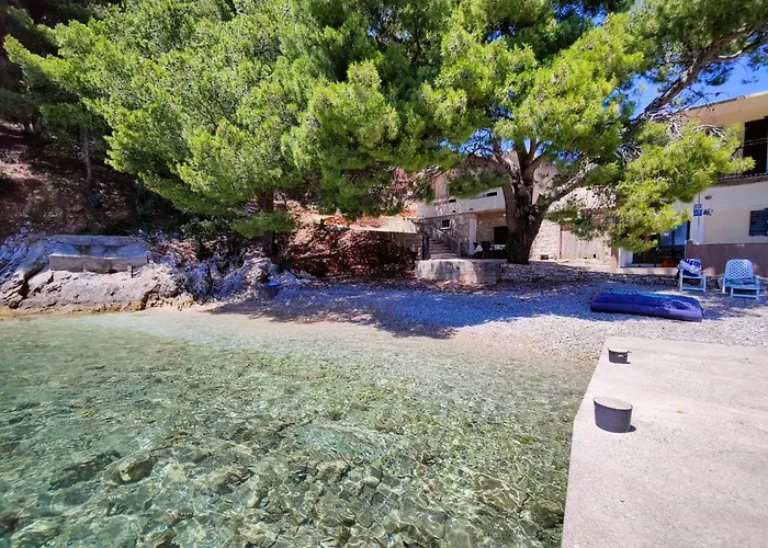 Robinson Borik Bogomolje